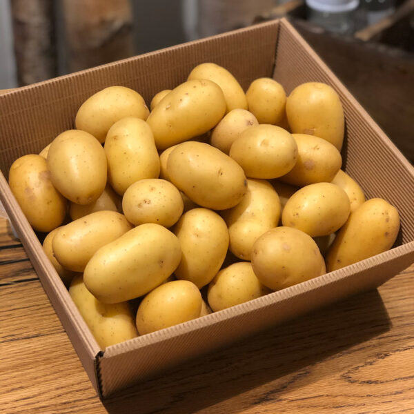 Frische Kartoffeln – wir beliefern Sie gern mit Waren aus der Region
